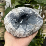 Natural Celestite Crystal Geode Calming Blue Healing Stone for Meditation, Chakra Balancing, Energy Work & Home Décor
