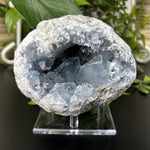 Natural Celestite Crystal Geode Calming Blue Healing Stone for Meditation, Chakra Balancing, Energy Work & Home Décor