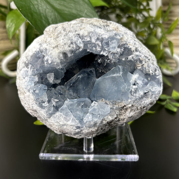 Celestite Crystal Geode - Gem Avenue Wholesale