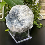 Natural Celestite Crystal Geode Calming Blue Healing Stone for Meditation, Chakra Balancing, Energy Work & Home Décor