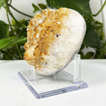 Natural Heat treated Citrine Heart Geode Raw Crystal Healing Stone for Love, Energy Work & Decorative Display - RGD805