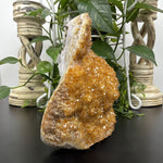 Natural Heat Treated Citrine Geode Crystal Cluster for Wealth, Energy Cleansing, Positive Vibes & Home Decor Display – RGD809