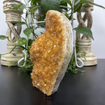 Natural Heat Treated Citrine Geode Crystal Cluster for Wealth, Energy Cleansing, Positive Vibes & Home Decor Display – RGD809