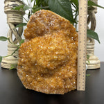 Natural Heat Treated Citrine Geode Crystal Cluster for Wealth, Energy Cleansing, Positive Vibes & Home Decor Display – RGD809