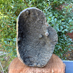 Black Galaxy Amethyst Gemstone Geode - RGD836