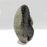 Black Galaxy Amethyst Gemstone Geode - RGD836