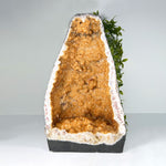 Natural Yellow Citrine Geode Cathedral Large Crystal Cluster for Home Decor & Positive Energy - RGD841