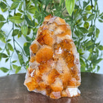 Natural Yellow Citrine Heated Cluster Crystal Gemstone Geode for Healing, Energy Cleansing & Home Decor - RGD843