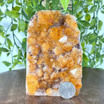 Natural Yellow Citrine Heated Crystal Gemstone Geode Raw Crystal for Collectors & HomeDecor - RGD845