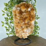 Natural Yellow Citrine Crystal Cluster on Stand Healing Stone for Energy, Abundance & Home Decor - RGD847