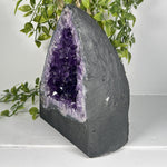 Amethyst Gemstone Geode - RGD852