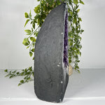 Amethyst Gemstone Geode - RGD853