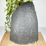 Collector-Grade Brazilian Amethyst Geode Cathedral, Natural Crystal Formation - RGD857