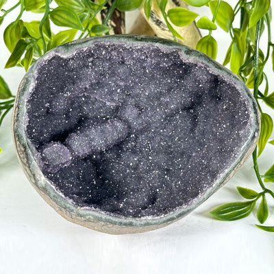 Natural Amethyst Crystal Geode - Gem Avenue