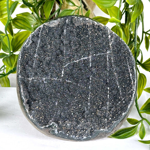 Natural Black Amethyst Druzy Crystal Geode - Gem Avenue