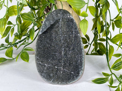 Natural Black Amethyst Geode Standing Slice Sparkly Druzy Crystal Specimen - RGD864