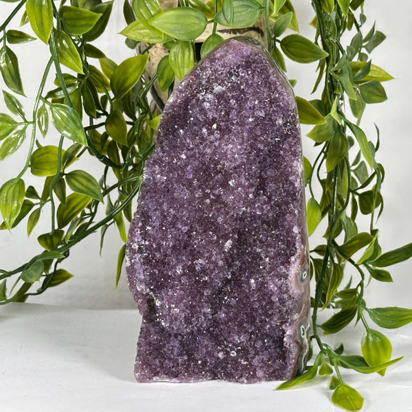 Natural Brazilian Amethyst Druzy Polished Purple Crystal Geode Display Stone - RGD866