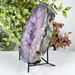 Amethyst Gemstone Geode - RGD869
