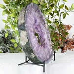 Amethyst Gemstone Geode - RGD869