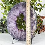 Amethyst Gemstone Geode - RGD869