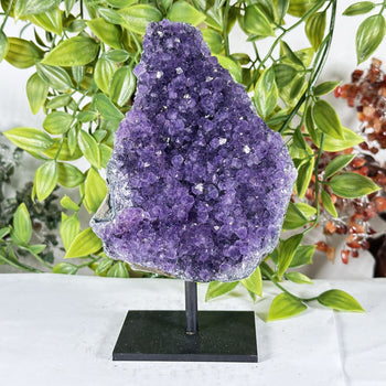 Deep Purple Amethyst Crystal Geode -  Gem Avenue Retail
