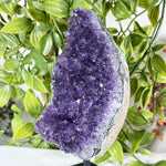 Amethyst Gemstone Geode - RGD876
