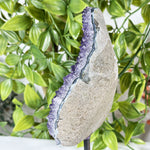 Amethyst Gemstone Geode - RGD876