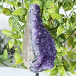 Amethyst Gemstone Geode - RGD876
