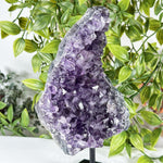 Amethyst Gemstone Geode - RGD877