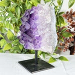 Amethyst Gemstone Geode - RGD879