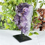 Amethyst Gemstone Geode - RGD880