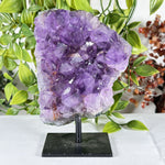 Amethyst Gemstone Geode - RGD881