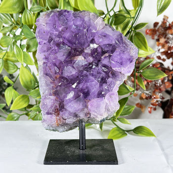 Natural Amethyst Crystal Geode - Gem Avenue Retail