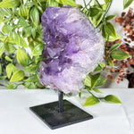 Amethyst Gemstone Geode - RGD881