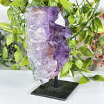 Amethyst Gemstone Geode - RGD881