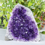 Amethyst Gemstone Geode - RGD883