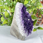 Amethyst Gemstone Geode - RGD883