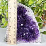 Amethyst Gemstone Geode - RGD883