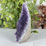 Amethyst Gemstone Geode - RGD884