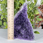 Amethyst Gemstone Geode - RGD884