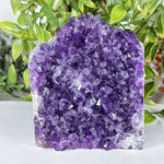 Amethyst Gemstone Geode - RGD885