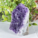 Amethyst Gemstone Geode - RGD885