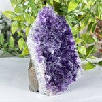 Amethyst Gemstone Geode - RGD885