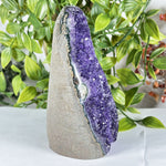 Amethyst Gemstone Geode - RGD887