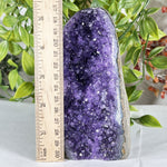 Amethyst Gemstone Geode - RGD887