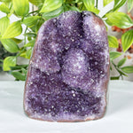 Amethyst Gemstone Geode - RGD888