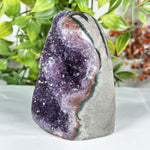 Amethyst Gemstone Geode - RGD888