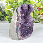 Amethyst Gemstone Geode - RGD888