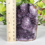 Amethyst Gemstone Geode - RGD888