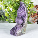 Amethyst Gemstone Geode - RGD889